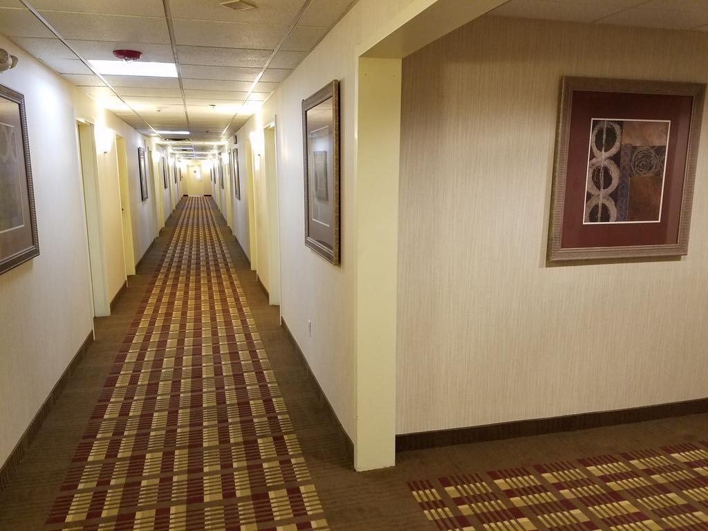 Days Inn By Wyndham Windsor Locks / Bradley Intl Airport Exterior foto